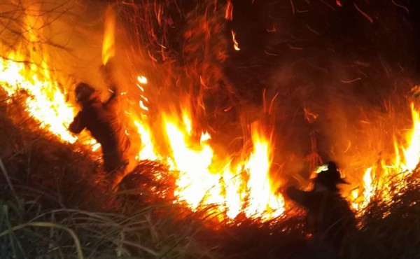 Incendio forestal consumió 10 manzanas en El Merendón