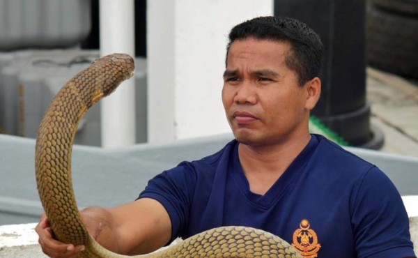 Muere famoso 'domador de serpientes' por el mordisco de una cobra