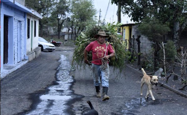 Un hombre y perros caminan por una calle con cenizas luego de la erupción del volcán Pacaya en el poblado de Patrocinio, municipio de San Vicente. Foto AFP