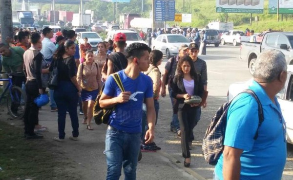 Transporte operará normal este jueves en San Pedro Sula