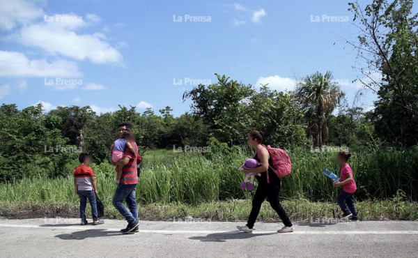 México: la selva, la única vía para burlar a la migra