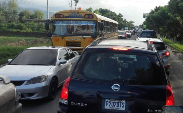 Árbol caído causa caos vehicular en carretera entre El Progreso y Tela   