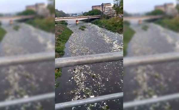 Río Choluteca arrastra grandes cantidades de basura tras tormenta en Tegucigalpa