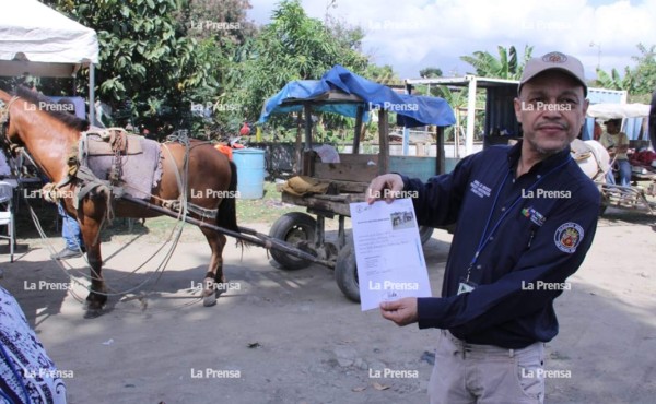 Inicia censo de carreteros para mejorar vialidad en San Pedro Sula  