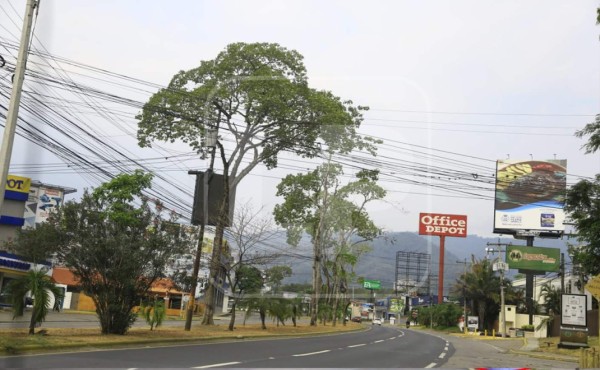 Foto: La Prensa