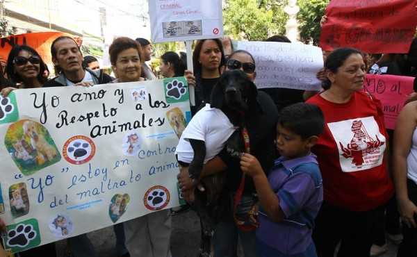 Exigen a diputados la aprobación de ley contra el maltrato animal