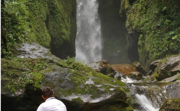 Pico Bonito, aguas cristalinas y una exuberante vida silvestre