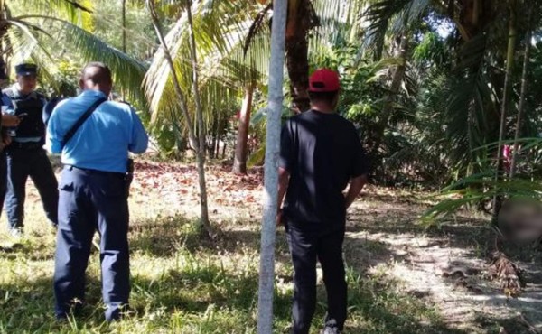 Atado de pies y manos a un árbol dejan cadáver de un hombre