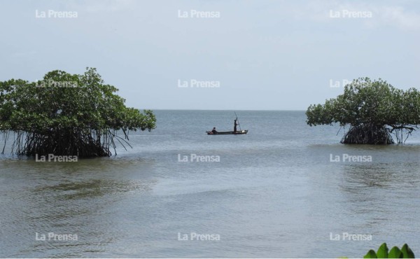 Foto: La Prensa