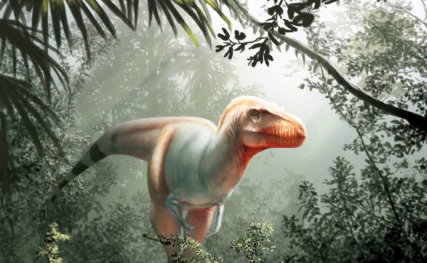 Un primo lejano del T-Rex encontrado en Canadá