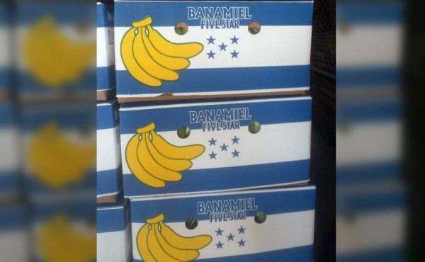 Liberación arancelaria elevará exportaciones de banano a la UE