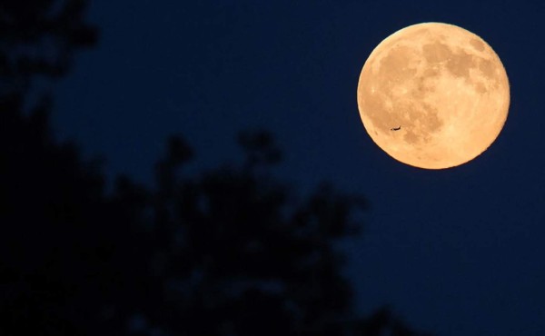 Multimillonario japonés abandona la búsqueda de una pareja que lo acompañe a la Luna