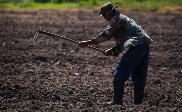 Aumenta apoyo de la banca a sectores agro y vivienda