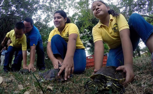 Funapa devuelve a su hábitat a 17 animales