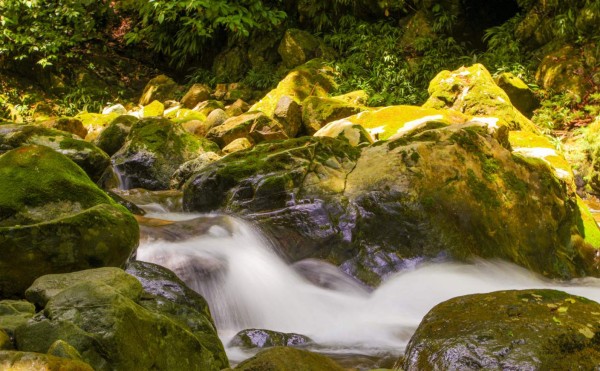 Pico Bonito, aguas cristalinas y una exuberante vida silvestre