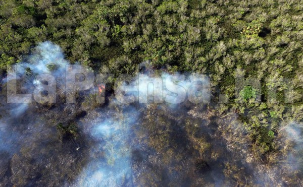 Fuego en parque Jeanette Kawas continúa propagándose