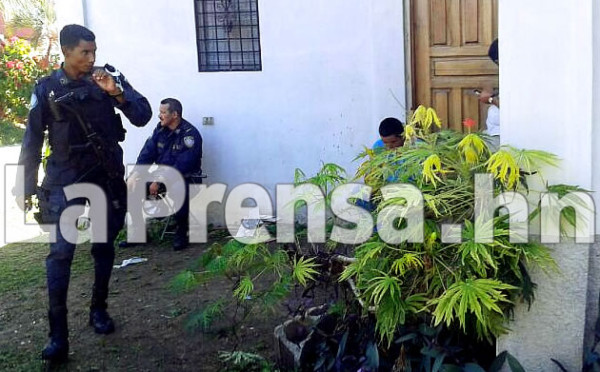 Honduras: Arrestan a ocho pandilleros con armas y droga