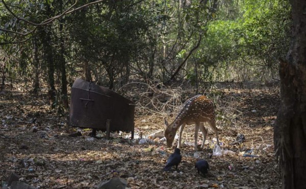 Las mejores imágenes en el Día de la Tierra