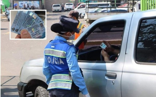 Vendaval de licencias decomisadas en Honduras: 727 en últimas 24 horas