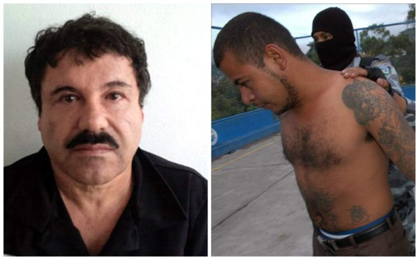 El Chapo Guzmán contrataba a pandilleros en Estados Unidos