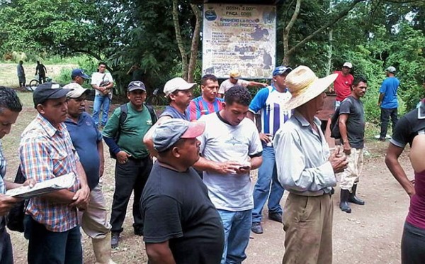 Fincas bananeras de Honduras están en paro de labores indefinido