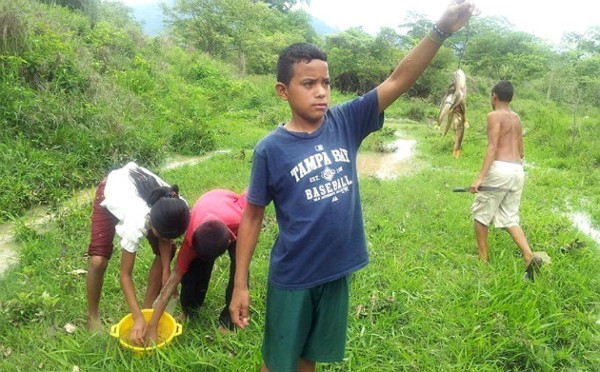 Honduras: Así fue la 'Lluvia de Peces' en Victoria, Yoro