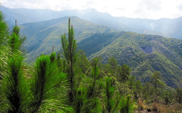 Parque El Cusuco, belleza en la montaña