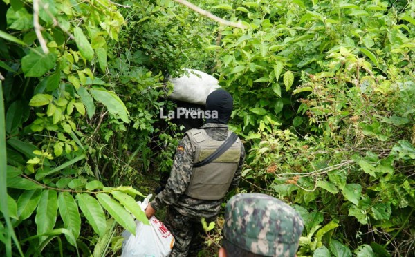 Enterrada hallan 350 libras de marihuana y cuatro fusiles