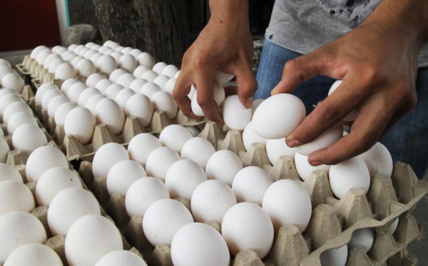 Rechazan medida del congelamiento al precio del huevo