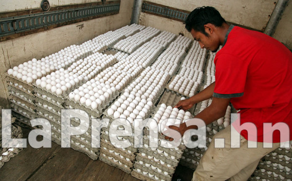 Honduras exportará e importará huevos de Nicaragua