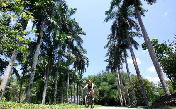 Lancetilla: Reserva en Caribe de Honduras desde hace 89 años