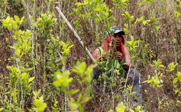 Briceño, el pueblo colombiano en donde los campesinos ya no creen en la coca