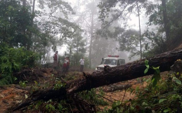 Derrumbe por lluvias deja incomunicados a dos poblados de Santa Bárbara