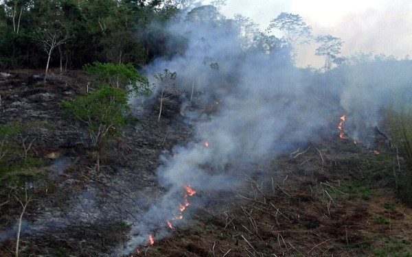 Foto: La Prensa