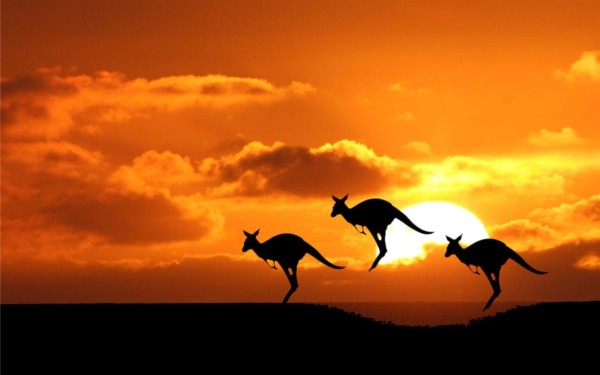 Cinco pretextos para explorar Australia