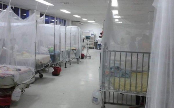 Salud confirma dos muertes por dengue grave en Honduras