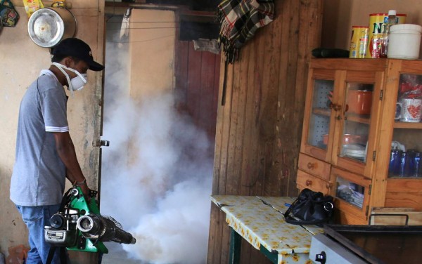 Dengue y Chikunguña bajo control en San Pedro Sula
