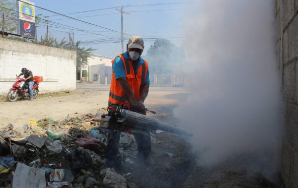 Registran 11,000 casos de dengue y chikungunya en San Pedro Sula