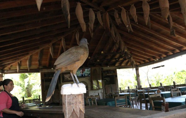 Trinidad, un pueblo con encanto y cultura de Santa Bárbara