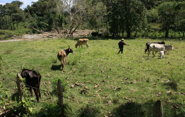 Foto: La Prensa