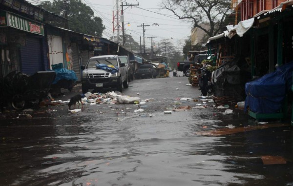 Basura acumulada flota en calles de La Ceiba luego de las lluvias