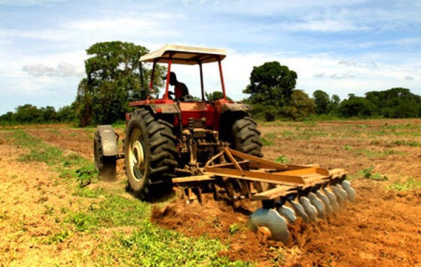 Exoneración al agro estará reglamentada la próxima semana