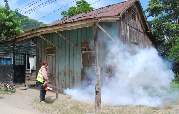 Fumigan Chamelecón para combatir el dengue y la chikungunya
