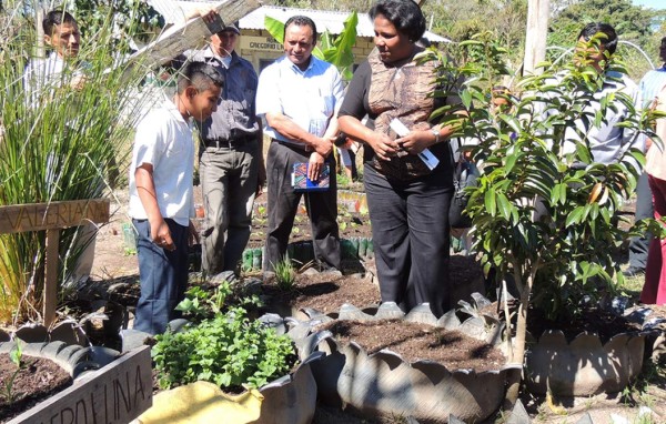 Programa Mundial de Alimentos aprueba $12 millones para Honduras