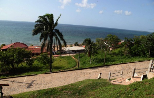 Descubren en Trujillo los arrecifes de coral más sanos del Caribe hondureño