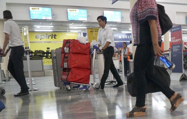 Un ave obliga a avión a aterrizar de emergencia