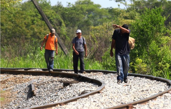 Migrantes hondureños se salva de morir tras ser lanzados de la 'Bestia”