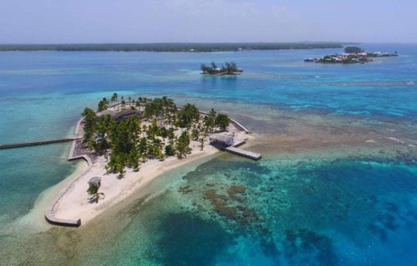 ¡A votar! Utila compite para ser el mejor destino para buceo en el mundo