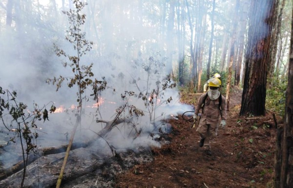 Incendios forestales en Honduras ya han arrasado 14,935 hectáreas en 2020