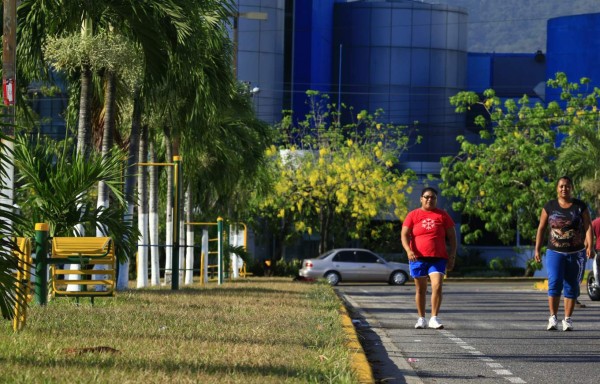 Caminantes denuncian descuido e inseguridad en bulevares